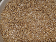 Crushed barley grain for export